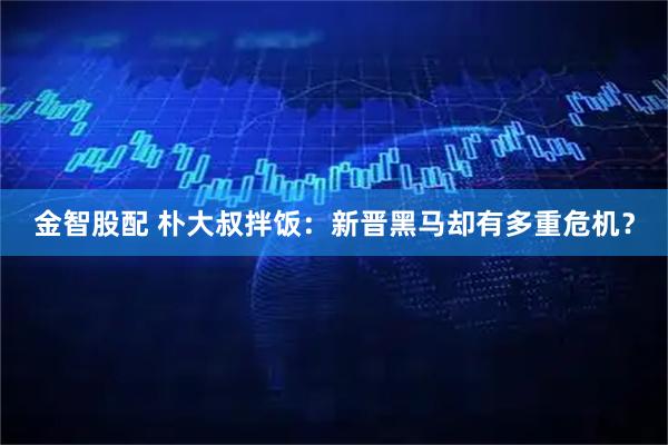 金智股配 朴大叔拌饭：新晋黑马却有多重危机？
