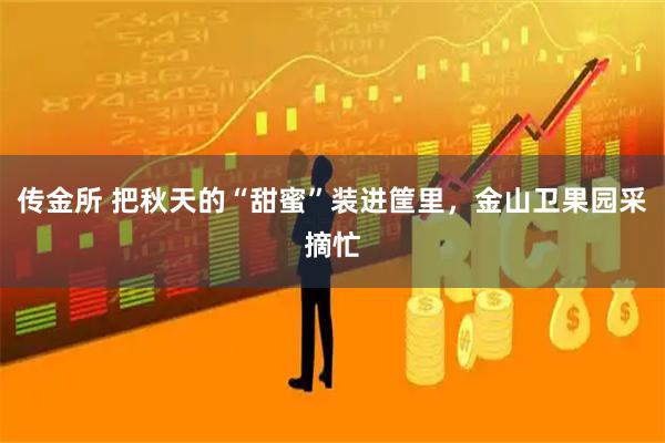 传金所 把秋天的“甜蜜”装进筐里，金山卫果园采摘忙