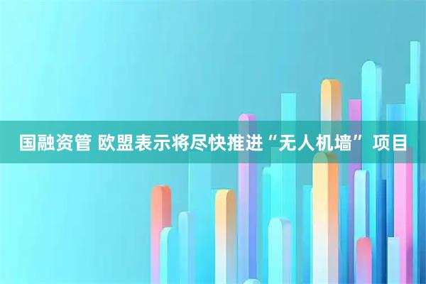 国融资管 欧盟表示将尽快推进“无人机墙” 项目